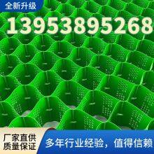 TGLG-PP-200-400-1.5High Strength Honeycomb Geogrid Chamber Slope Protection Retaining Wall thumbnail-4