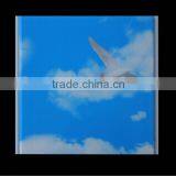 60% Pvc Content Printing Flat PVC Ceiling Panel Export India & Columbia Market
