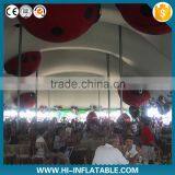 2015 New Inflatable Cartoon,inflatable Insect,inflatable Ladybird thumbnail-2