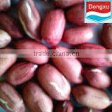 Red Skin Peanuts