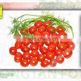 Pickled Tomatoes / Tomatoes in Vinegar thumbnail-1