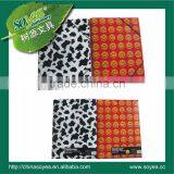 Elastic Document pp File Bag