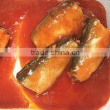 Chinese Wholesale canned fish sardine in tomato sauce