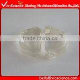 Used for Modulus Internship With Anatomical Shape Groove Ridge Toothless Jaw Model