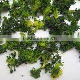 Dehydrated Broccoli 2012 thumbnail-1