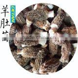Dry Stemless Morchella Esculenta for Buyers thumbnail-2