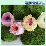 Natural Preserved Fresh Austin Rose Wedding Flower Wall Backdrop thumbnail-6