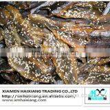 Dried Capelin (Fish Shishamo) Supplier From China