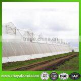 pe Mesh pe Insect Mesh Anti-insect Net thumbnail-6