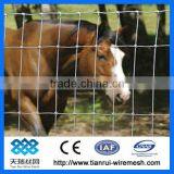 Hot Dipped Galvanized Grassland Fence (manufacture) thumbnail-1