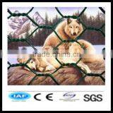 Chicken Hexagonal Wire Netting for Good Sale thumbnail-1