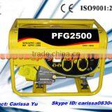 Spark Plug Started Gasoline Generator 2000W thumbnail-1