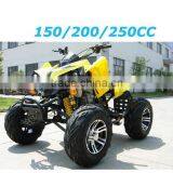 150cc Quad Bike SAND BUGGY thumbnail-2