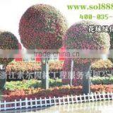 2015 Hanging Ball Planter SL-Y080 Ball Shaped Planters thumbnail-2