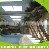 Artificial Washington Palm Tree Fashion Restaurant Decorative Artificial Plants thumbnail-1