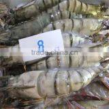 Frozen Bulk Shrimp thumbnail-1