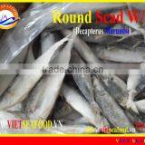 FROZEN ROUND SCAD WHOLE ROUND thumbnail-1