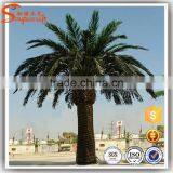 Artificial Palm Treel and Landscaping Golden Palm Tree Resort Promotion thumbnail-3