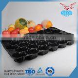 Disposable Food Tray With Lid China Supplier PP Fruit Tray thumbnail-6