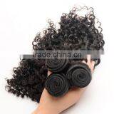 8A Grade Unprocessed Wholesale Virgin Brazilian Hair Wholesale Kinky Curly Brazilian Human Hair Weaves Extension thumbnail-2