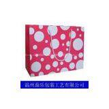 Ecofriendly Paper Bag