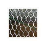 Hot-dip Galvanized Hexagonal Wire Mesh thumbnail-2