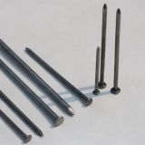 Low Carbon Q195 Common Iron Nails