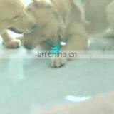 Multifunction Pet Molar Bite Toy Food Dispensing Suction Cup Dog Toy thumbnail-1