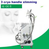 5 Handles Double Chin Fat Freezing Body Contoring Machine Cellulite Device thumbnail-6