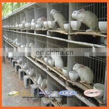 High Quality Galvanized Welded Rabbit Cage Wire Mesh/High Quality Rabbit Cage/Rabbit Farming Cage thumbnail-2