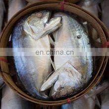 IQF Indian Mackerel Frozen Indian Mackerel Fish Rastrelliger Kanagurta thumbnail-3