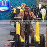 Fitness Equipment/high Quality -Delt Machine-TZ6010 thumbnail-2