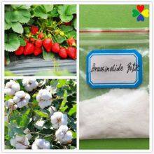 Agriculture Plant Growth Regulator Natural Pesticide Brassinolide 90%tc thumbnail-3