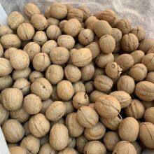 Walnuts thumbnail-2