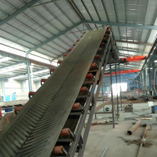 Customized Industrial Fixed Belt Conveyor DSJ80/30/2x30 for Mining, Heavy Duty Industrial Material Handling Equipment thumbnail-3