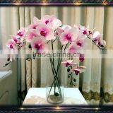 Wholesale PU Artificial Phalaenopsis Orchid thumbnail-5
