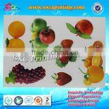 Customized Decorative Fridge Sticker , Magnetic Freezer Sticker , Magnetic Stickers for Fridges