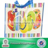 Lead Free Non Woven Promotional Shoes Carry Bag