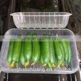 Supermarket Display Absorbent Disposable Food Storage Freezer Tray thumbnail-6