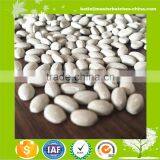 Plastic Desiccant/Anti-Foaming/Dry Agent Masterbatch thumbnail-2