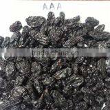 Black Raisin Jumbo. thumbnail-1