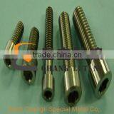 Titanium Fasteners