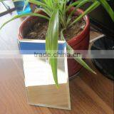 Silver Mirror thumbnail-2