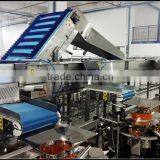 Food Grade PVC Belt Lift Conveyor for Snack Food thumbnail-5