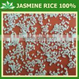 Jasmine rice 5% broken - HIGH QUALITY - BEST PRICE