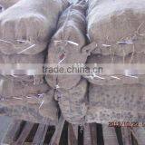 Fresh Chestnut 2015 Crop thumbnail-3