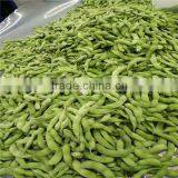 IQF Freezing Process and Frozen Style Iqf Green Soy Beans thumbnail-1