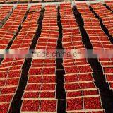 Sundried China Tomato Organic Sun Dried Tomatoes For Sell thumbnail-4