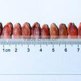 Hot Sale Chinese Melon Seeds Watermelon Seed Nut thumbnail-2