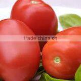 Moon Star Seeds Stores company overview - view 2 thumbnail